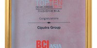 topten-developers-bci-asia-2015